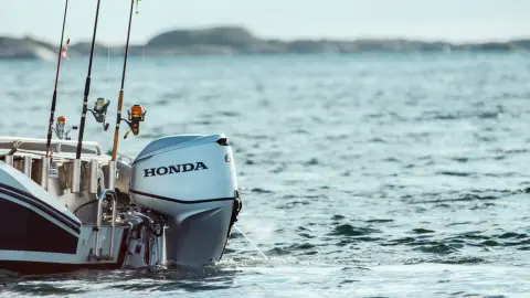 Close-up van een BF60-motor op het water.