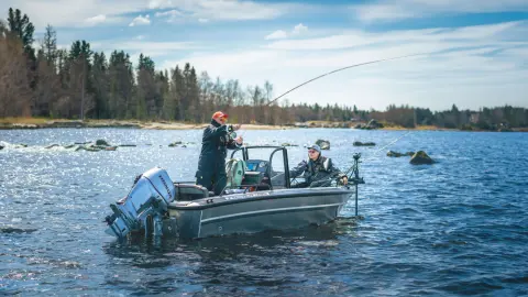 Twee mannen die vissen op een boot met twee Honda BF60-motoren op het water.